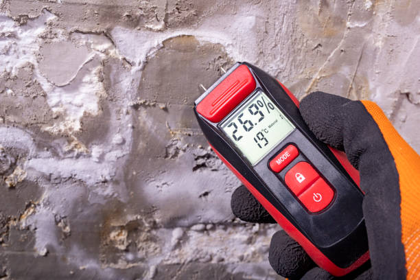 Best Certified Mold Removal  in , UT