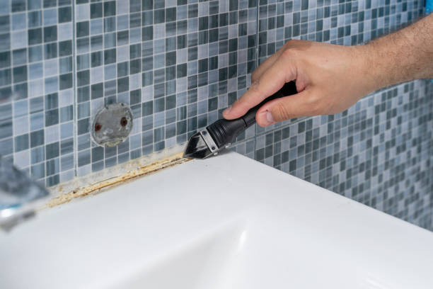 Best Toxic Mold Removal  in , UT
